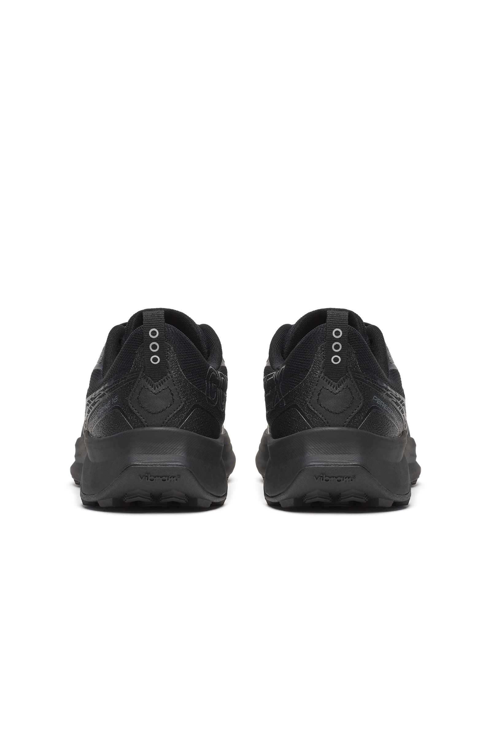 Peregrine 16 (Gore-Tex)
