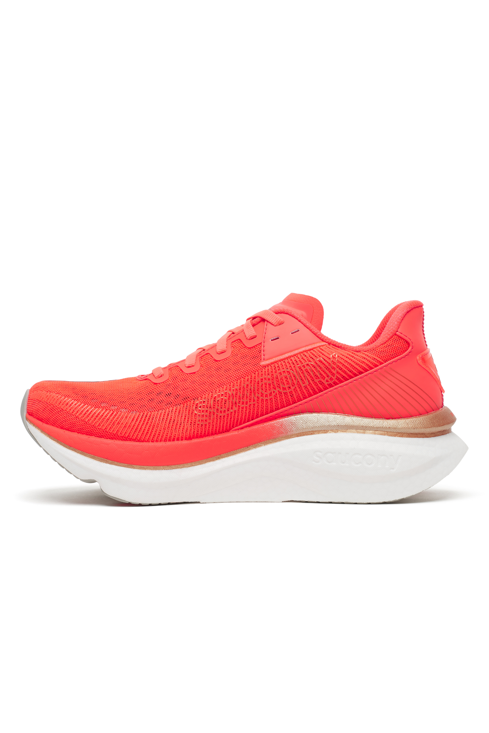 s101348-1033_red_3.jpg