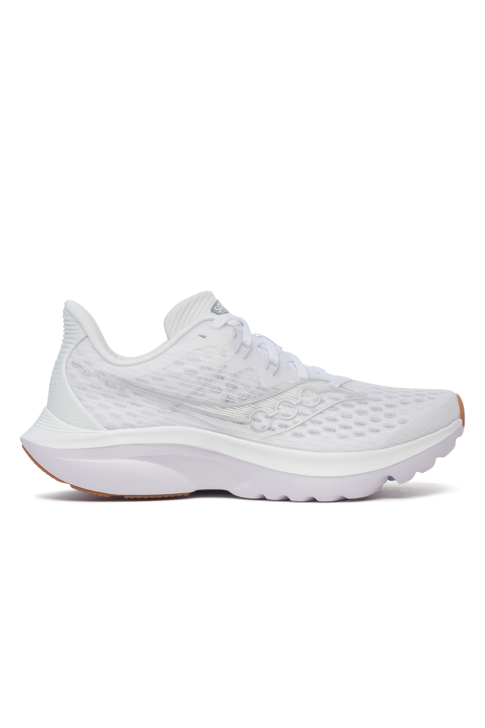 s11020-202_wht_1.jpg