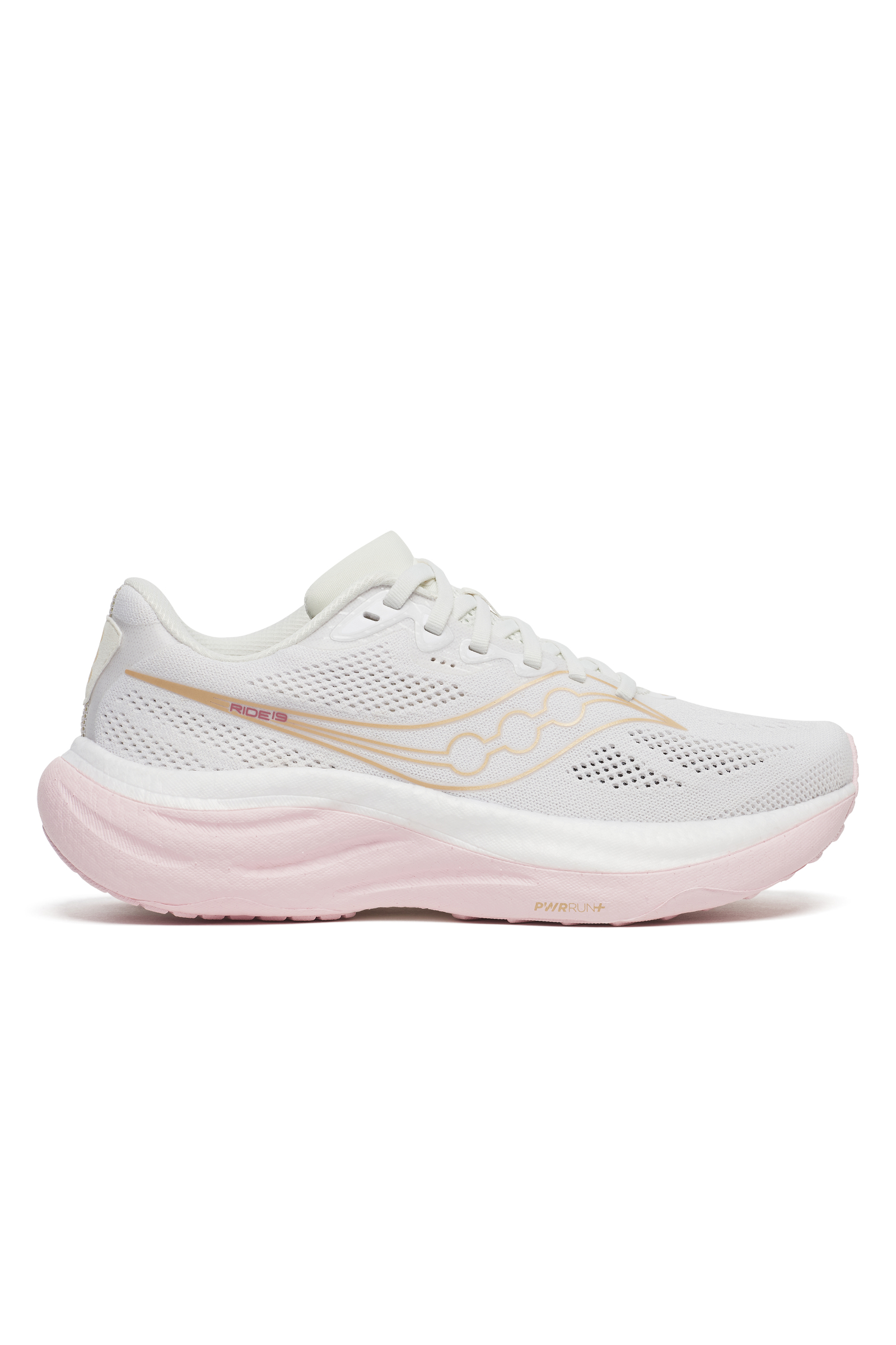 s11056-151_wht_1.jpg