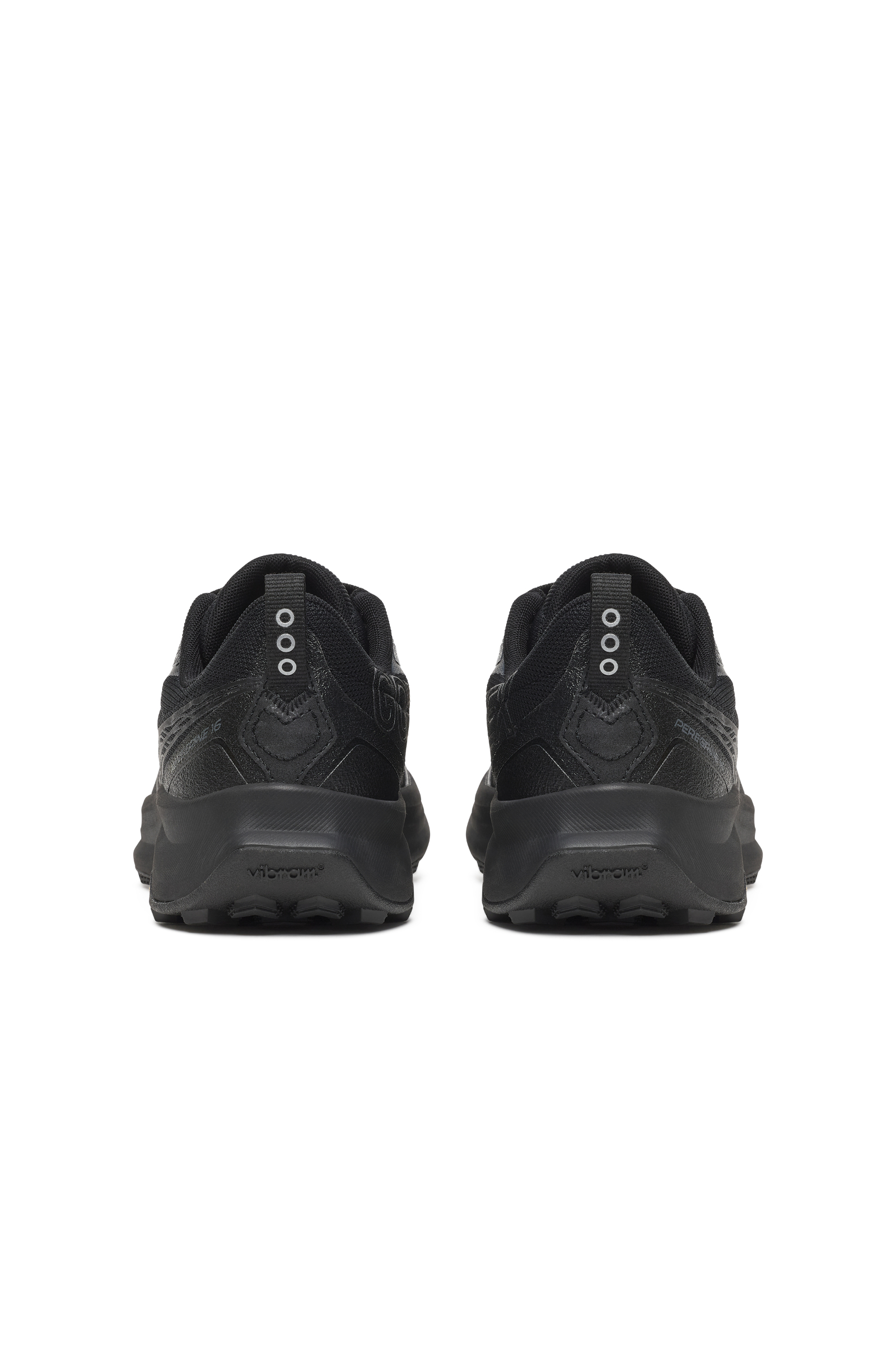 Peregrine 16 (Gore-Tex)